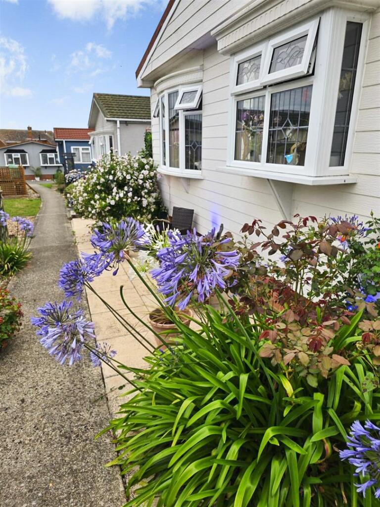 Garden-76207334.jpg