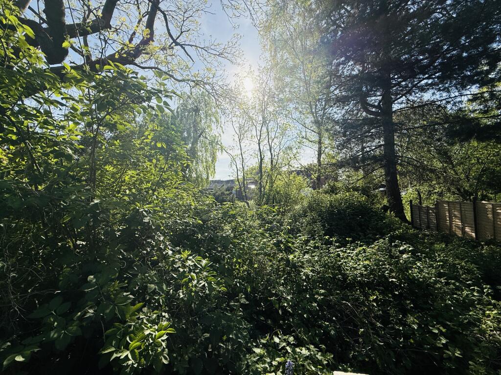 IMG_5442.jpeg