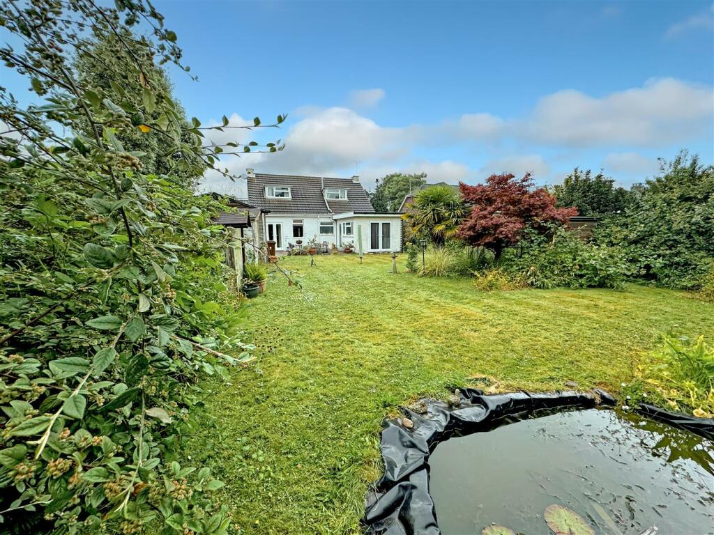 garden.jpg