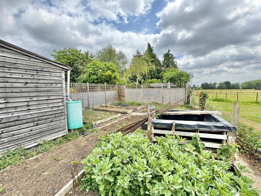 Veg patch.jpg