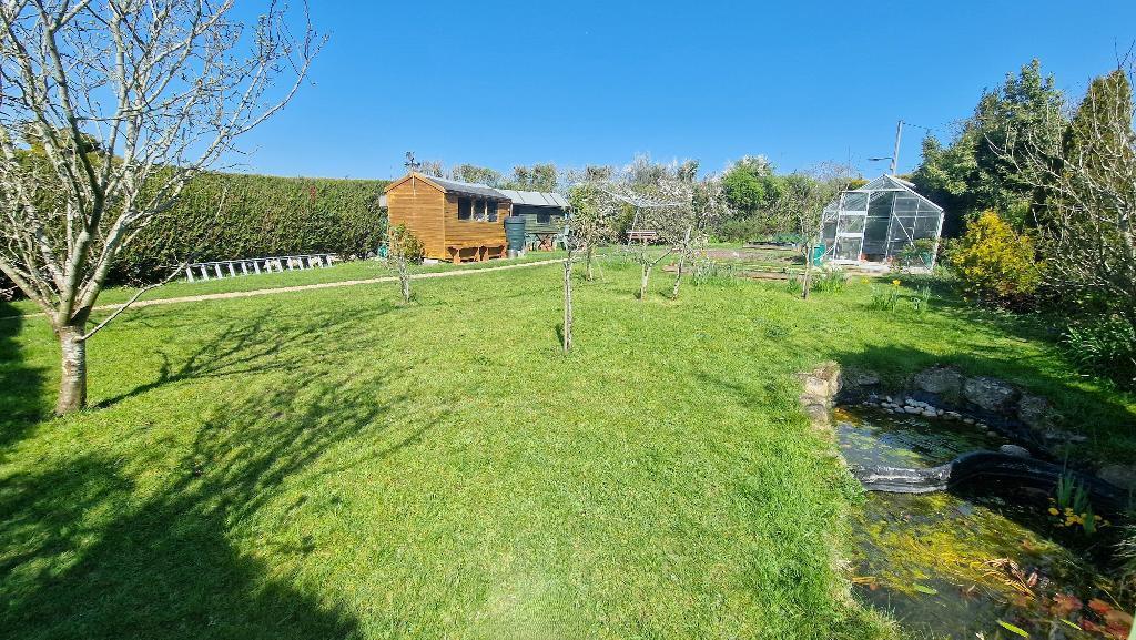 Meadow Garden