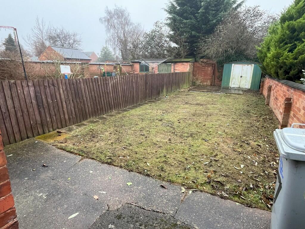 Back garden
