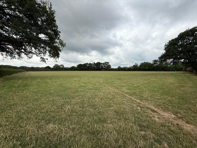 image11.jpeg