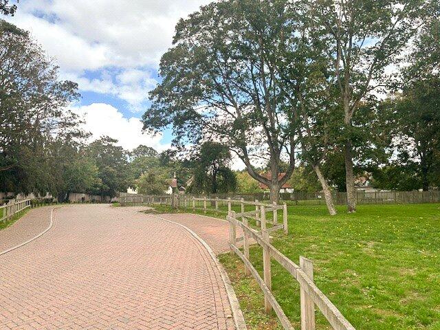 Wooded Grounds