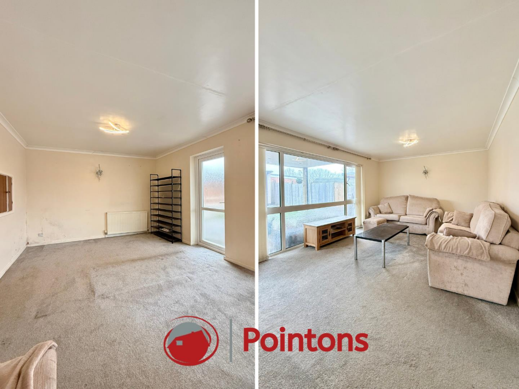 Logo image  (13).png