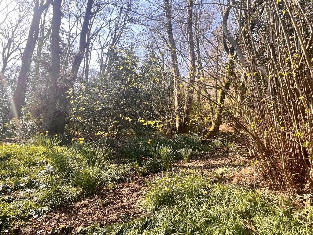Picture No. 21