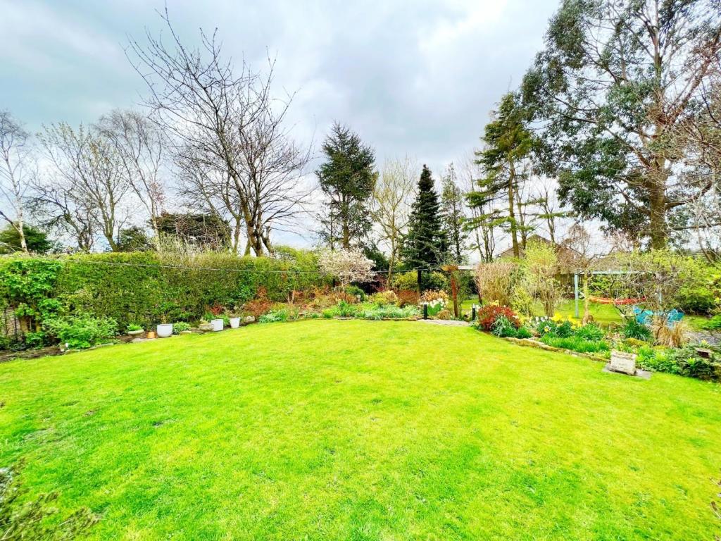 Garden 4.jpg