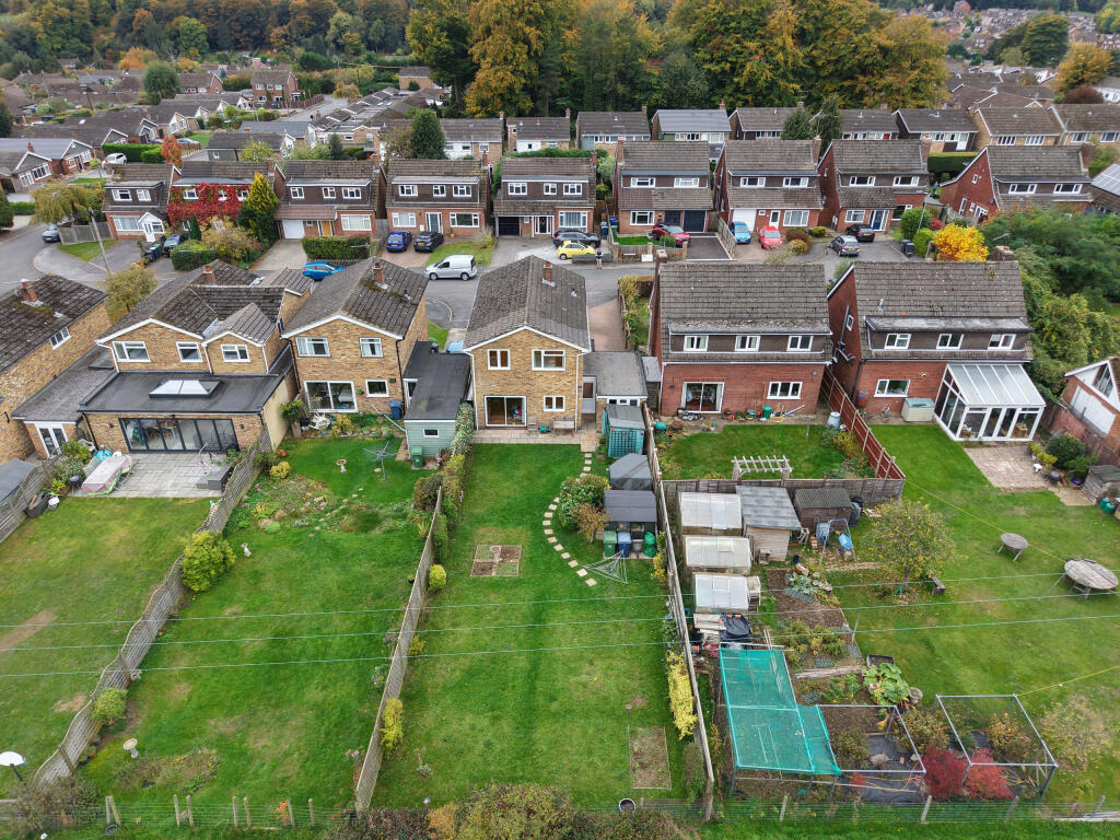 Aerial Rear