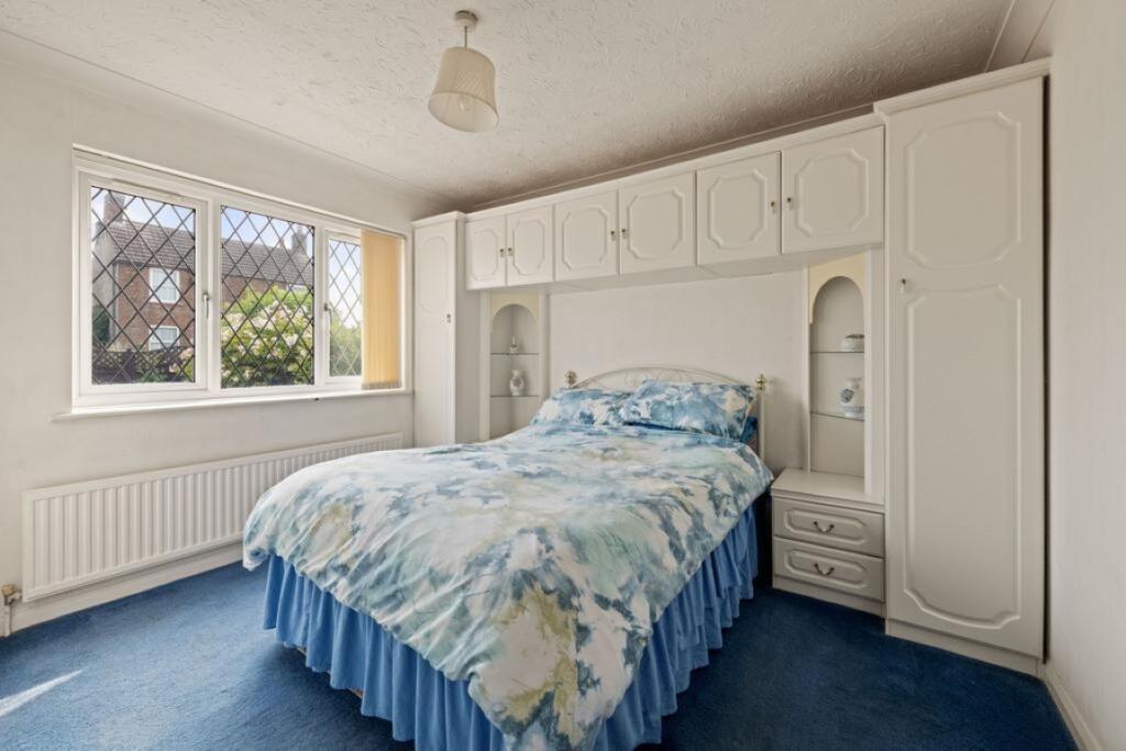 5  Medium  T202510281636.jpg