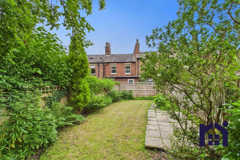Back garden