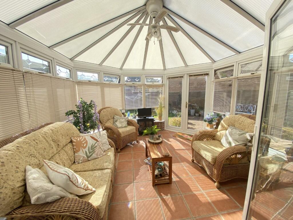 IMG_0594 (Large).JPG