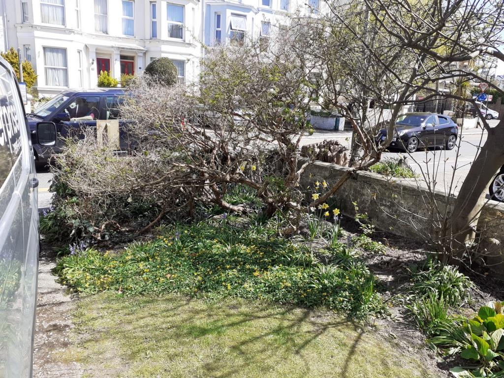 Front garden