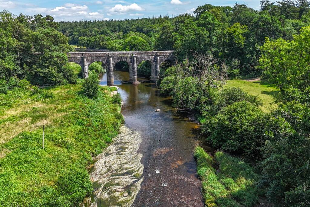 1319194 (15) Drone.jpg