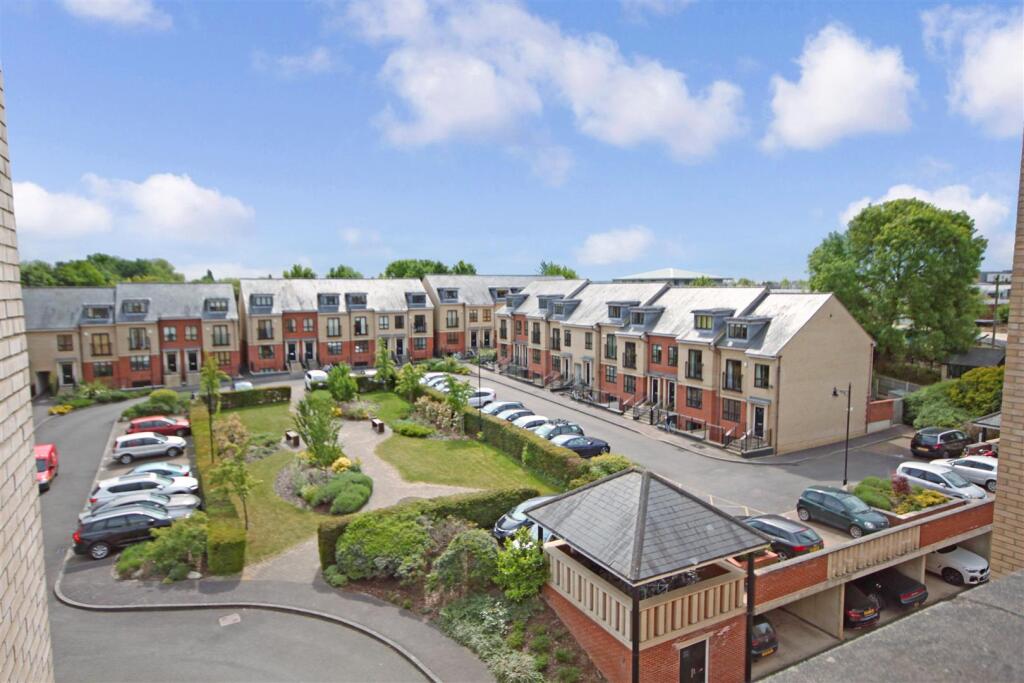 IMG_2174.jpg