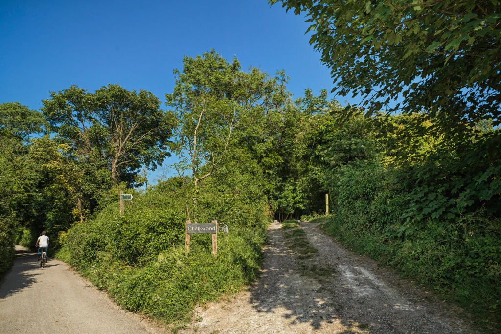 297128 - a0OP6000007FjorMAC_N122.jpg