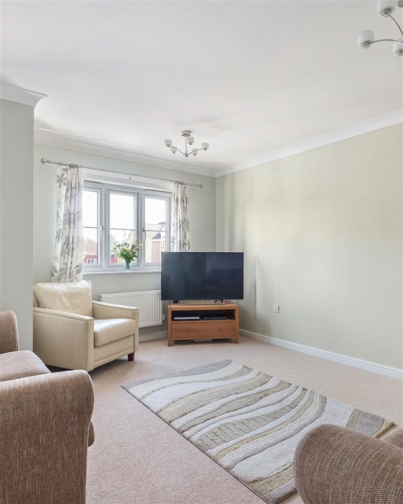 P untitled (11 of 17).jpg