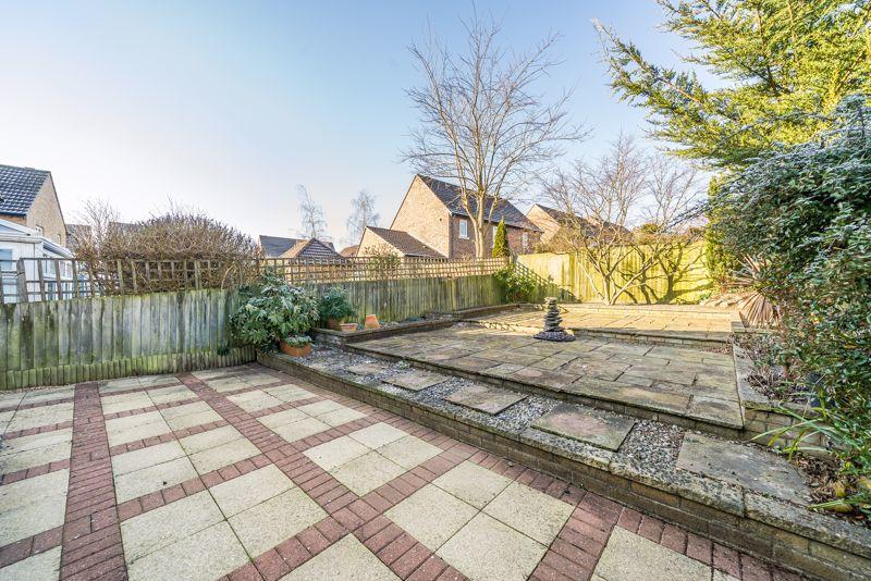 Back garden