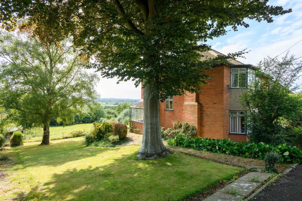 TEK HiRes 240827 036.jpeg