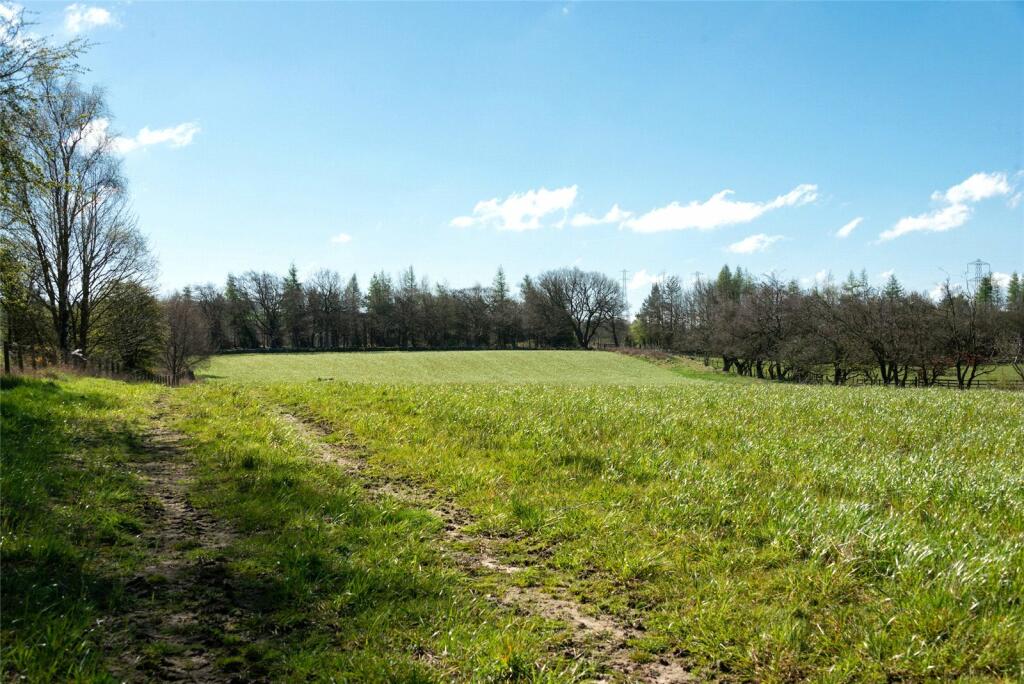 Lot 2 - The Field