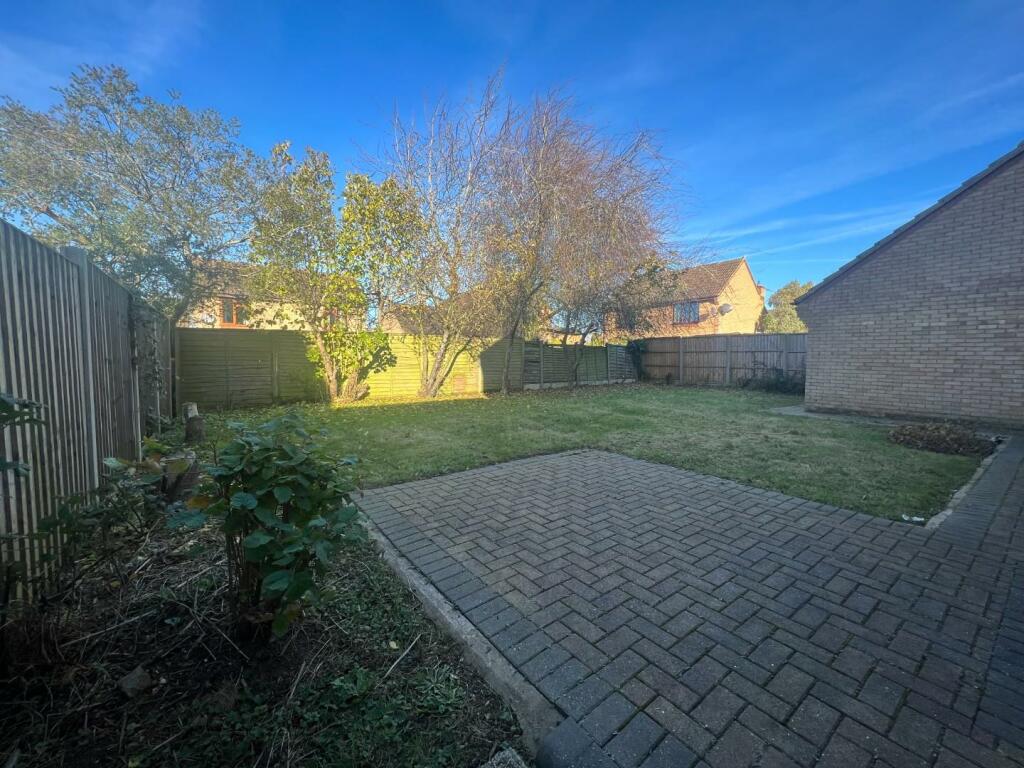 Garden.JPG