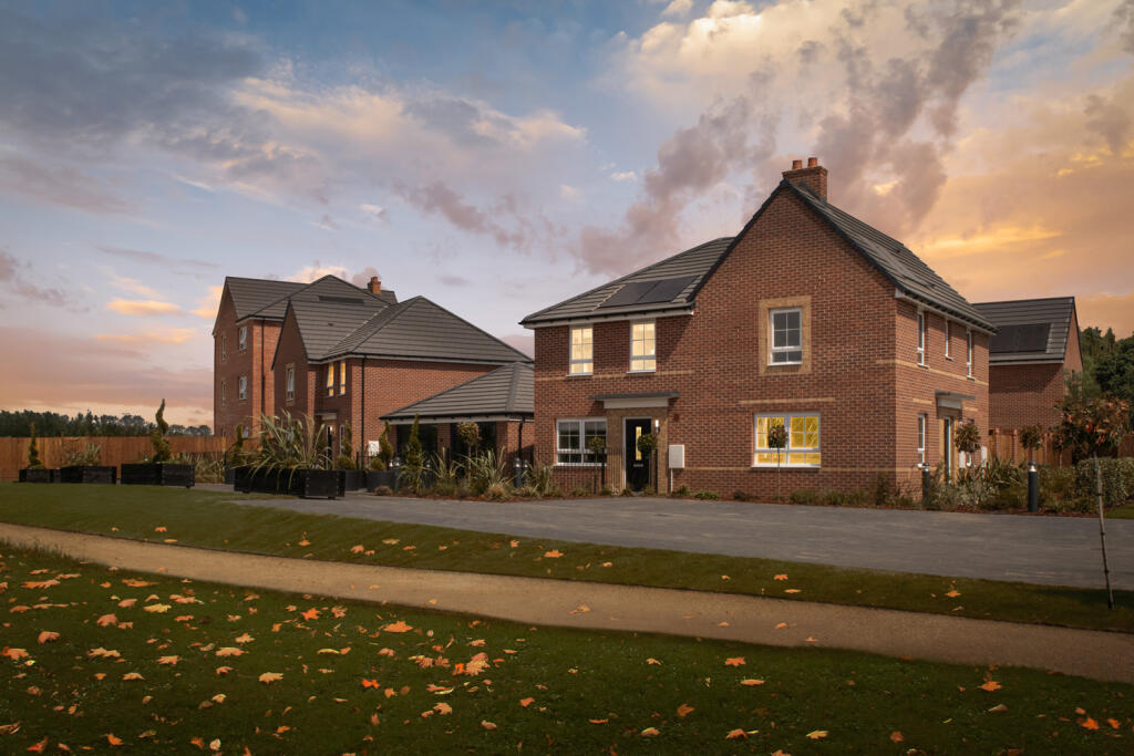 The Meadows dusk Oct 2024