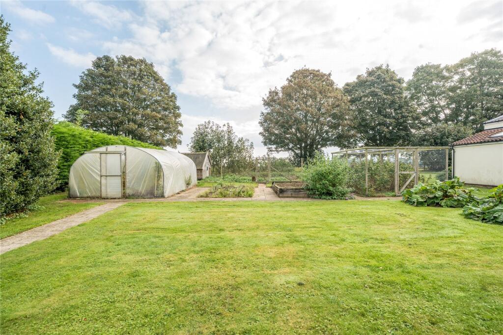 Vegetable Garden
