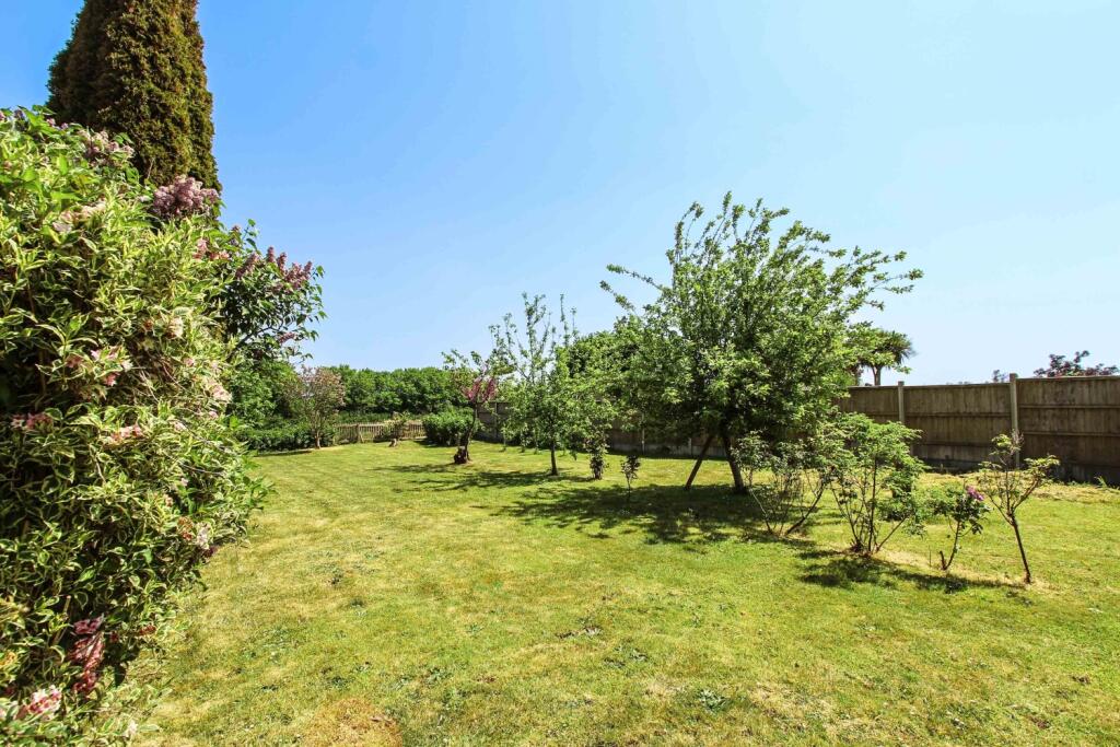 IMG_6871Garden a