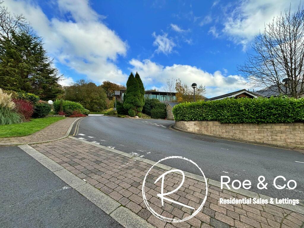 Road to the development