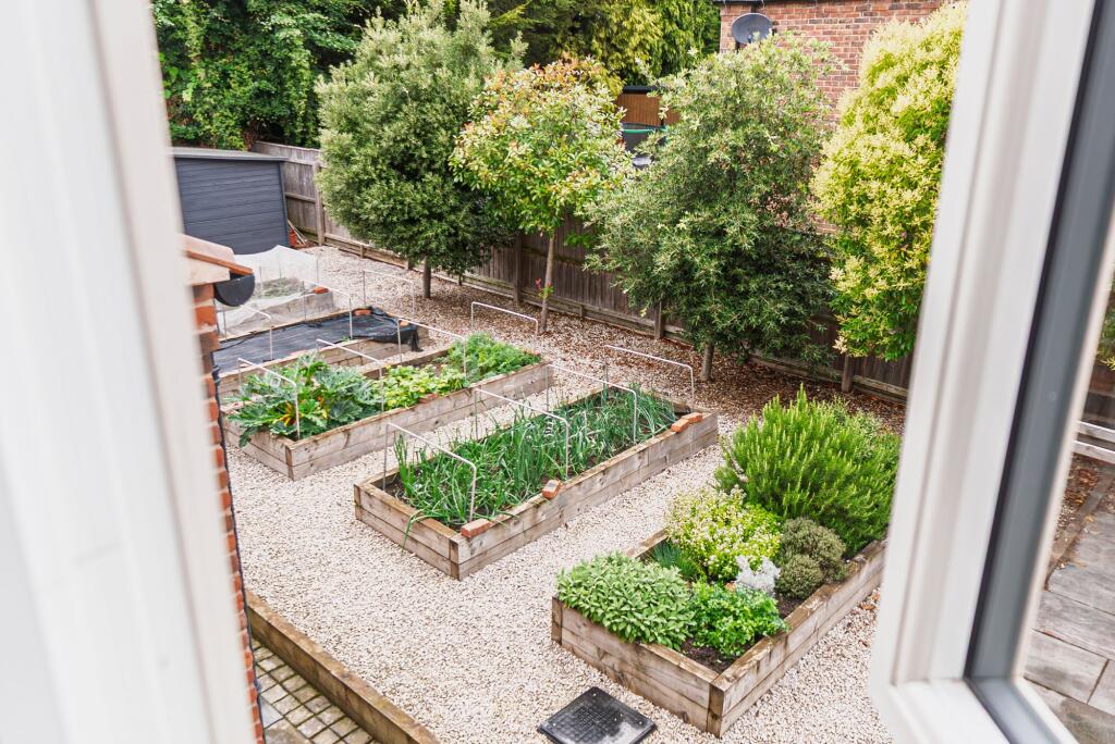 Vegetable garden