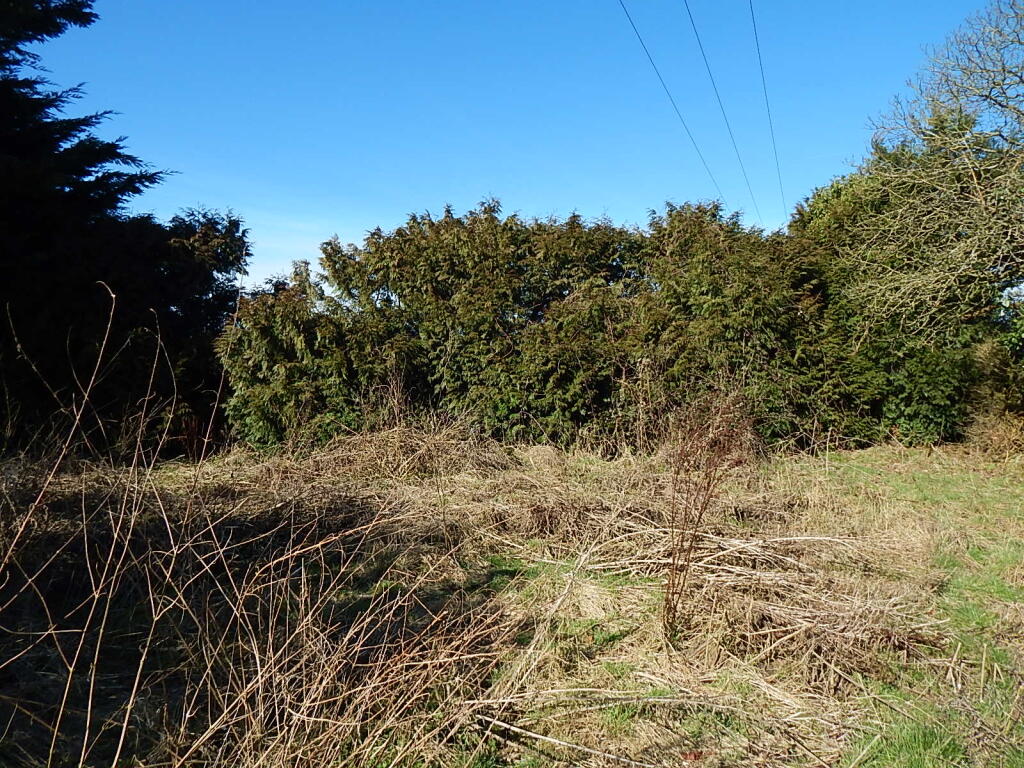 17 T202503181716.jpg