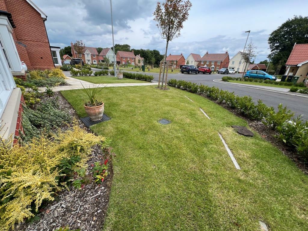 FRONT GARDEN
