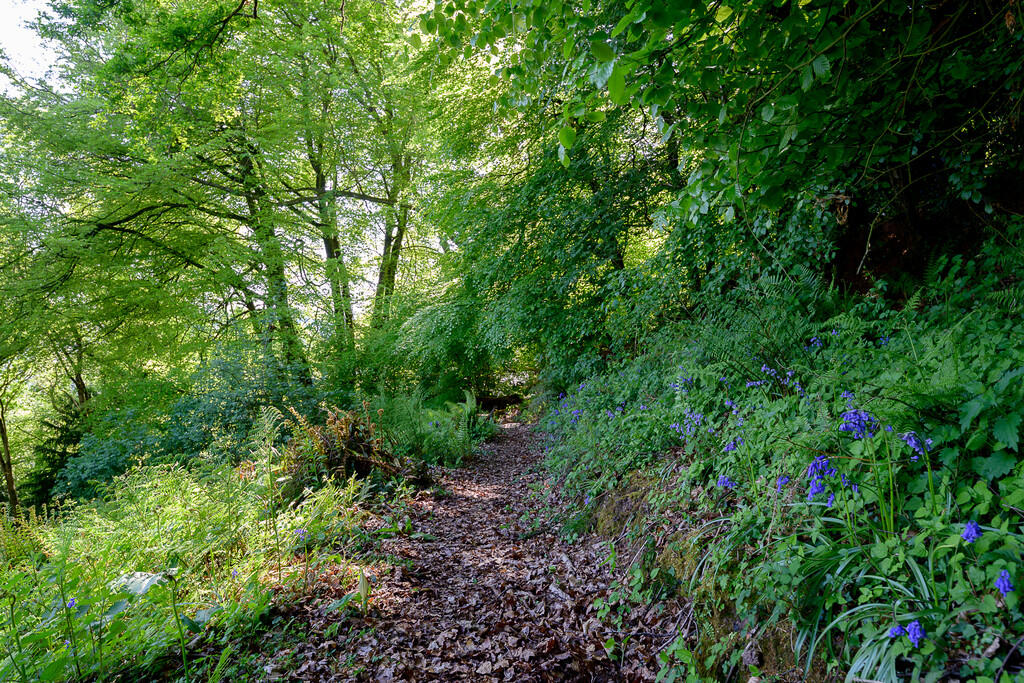 Rock Mill Exterio...