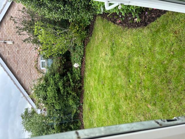 Back Garden