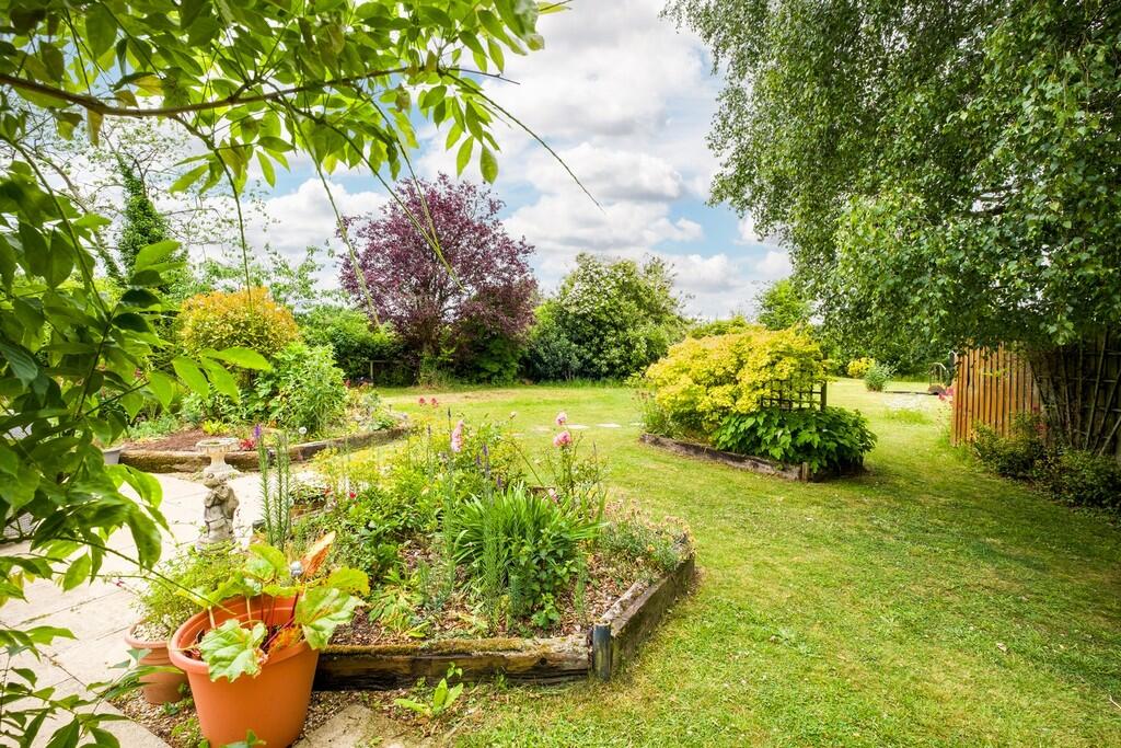 1440px-Hedgehogs-...