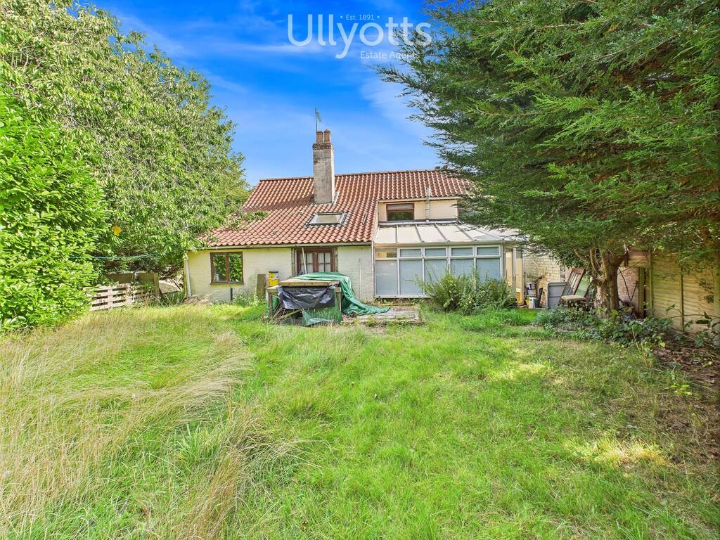 Rear of Property