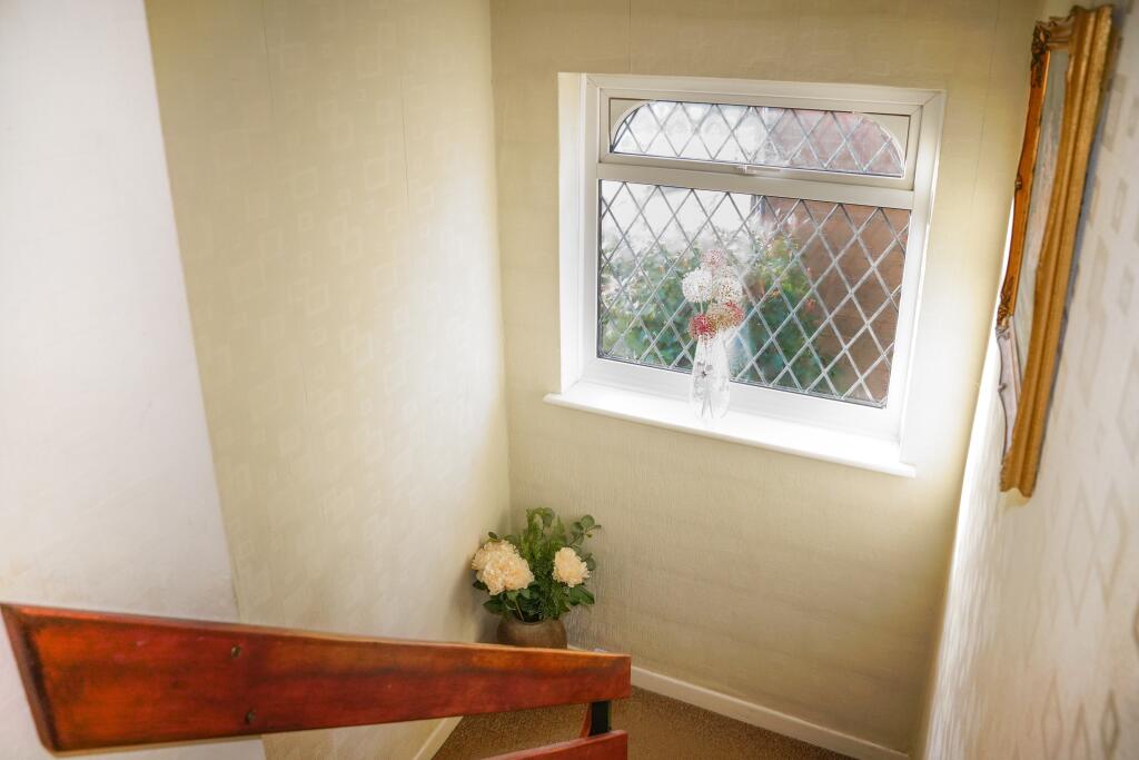 Photograph 31
