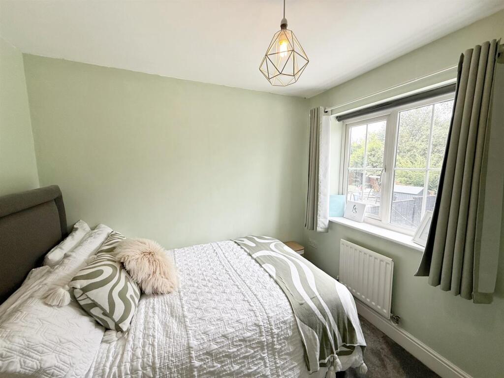 IMG_4786 (Large).JPG