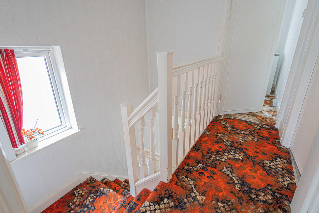 20250819-DSC06196...