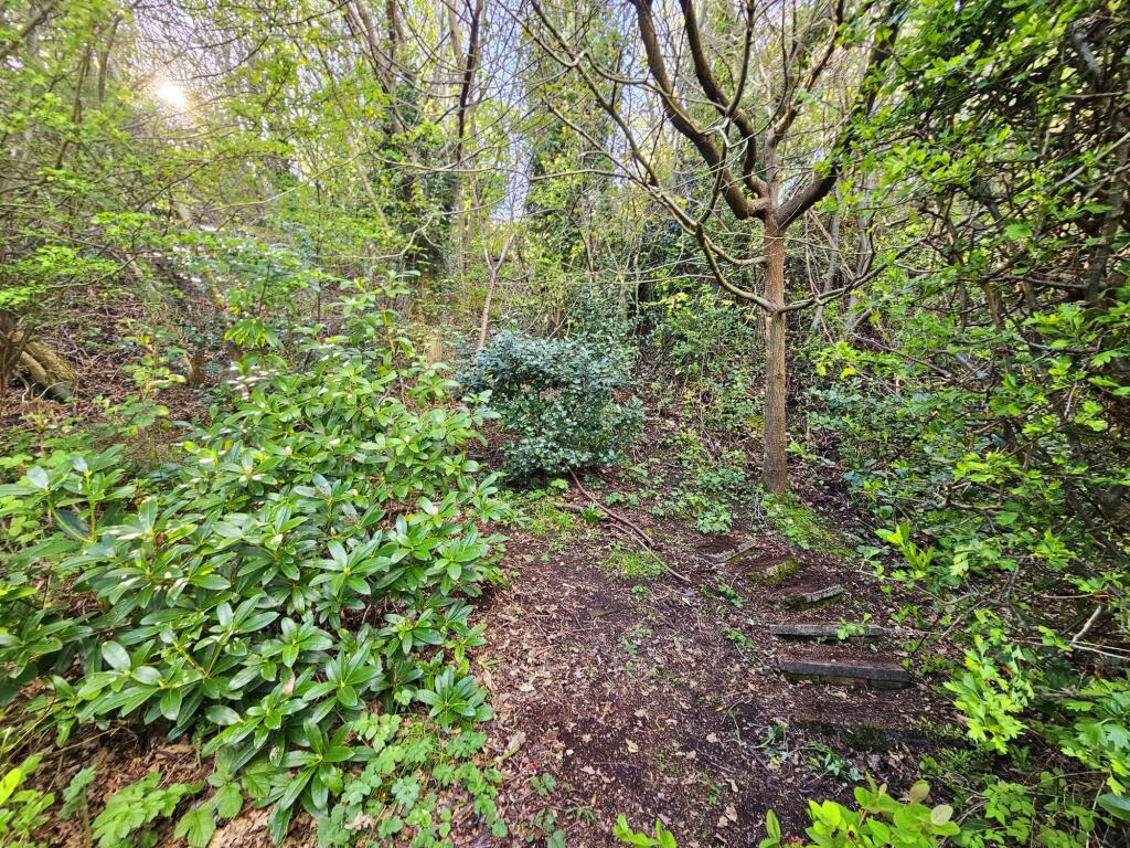 7a3e3dbb-6973-4370-b570-e5d21e11b43e