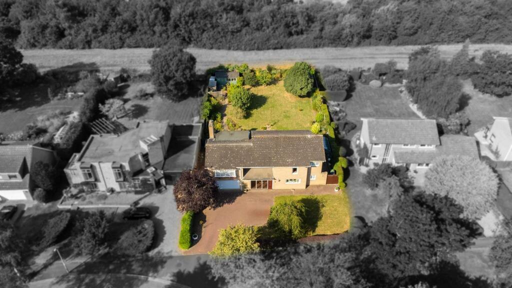 Drone Image
