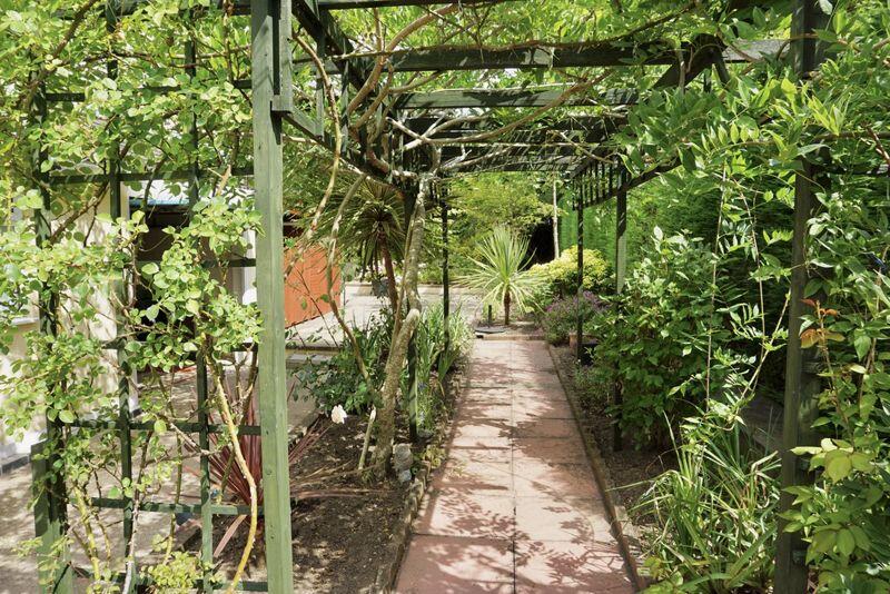 Rear garden pergola area