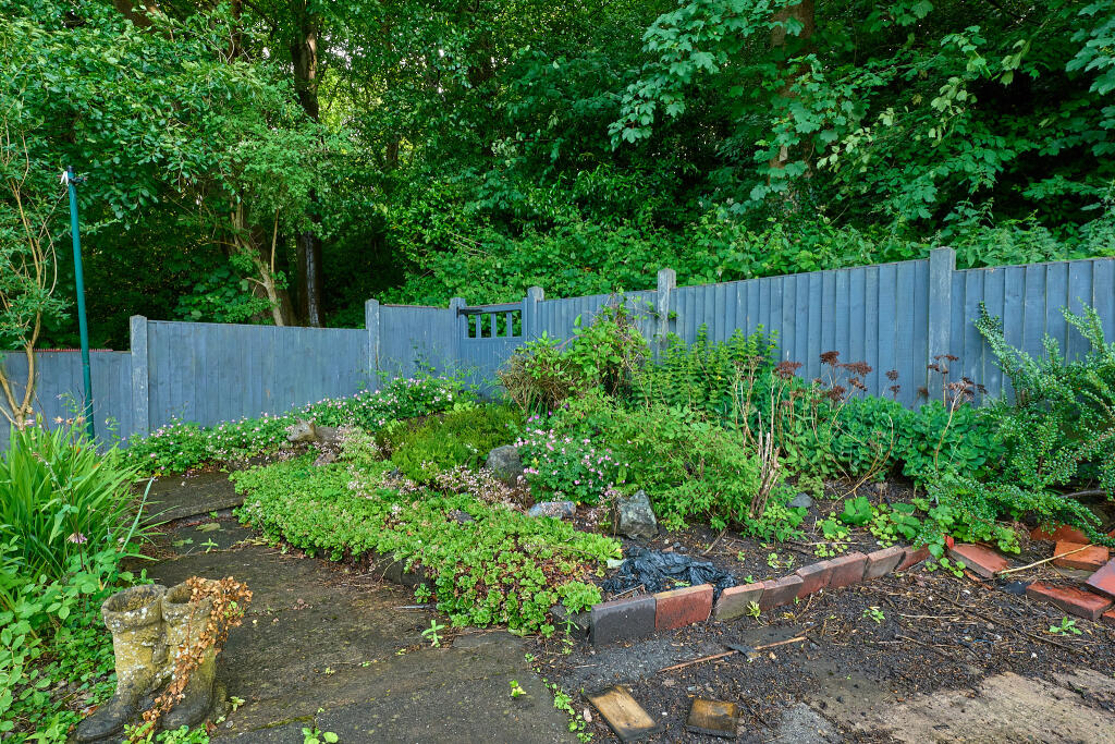 P1463004 T202506031601.jpg