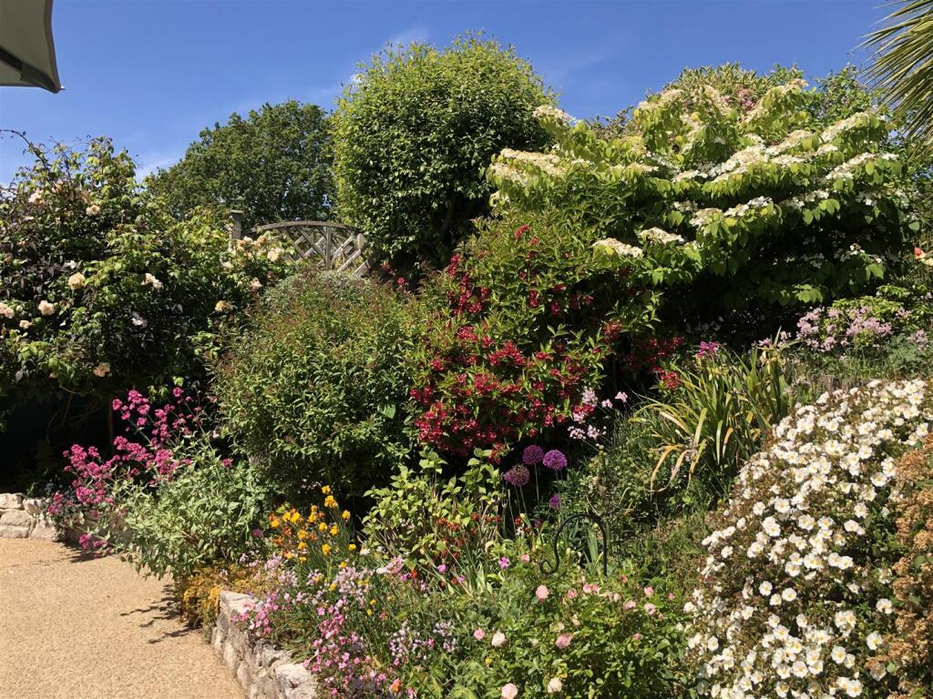 Garden 6.jpeg