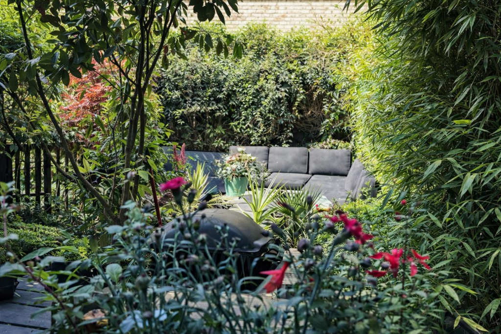 Garden from Inside.png