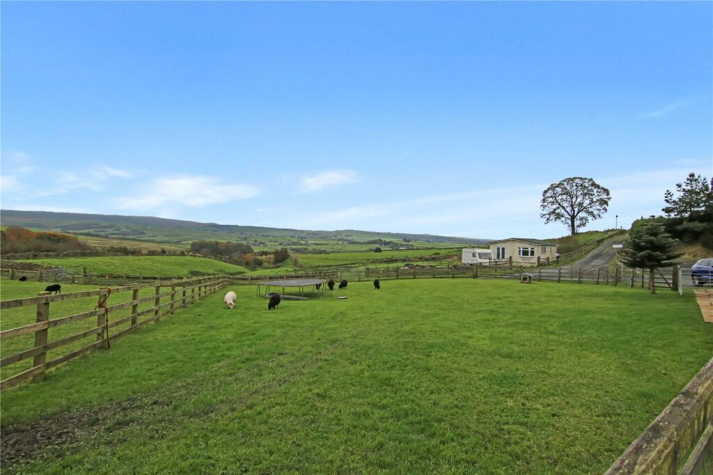 Paddock/Lawn Garden