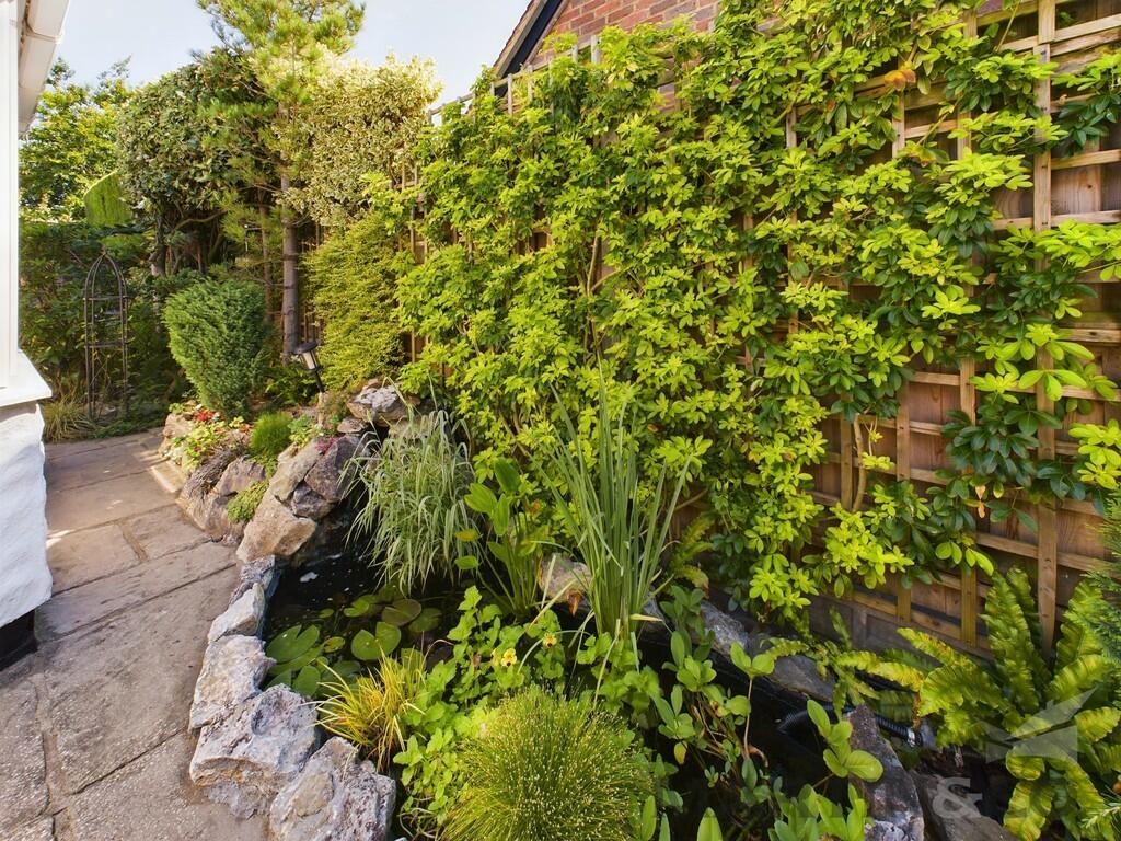 Garden 3