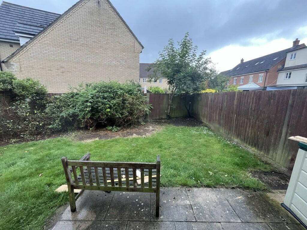 Back garden