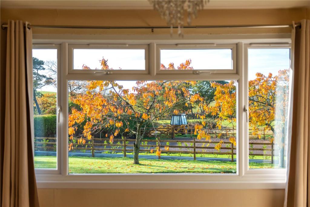 View From Window