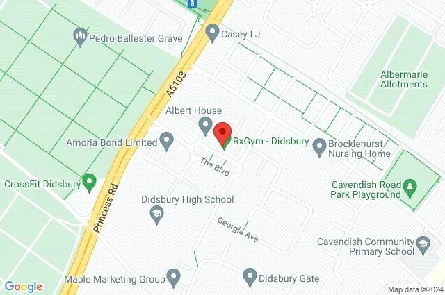 Google Maps Image