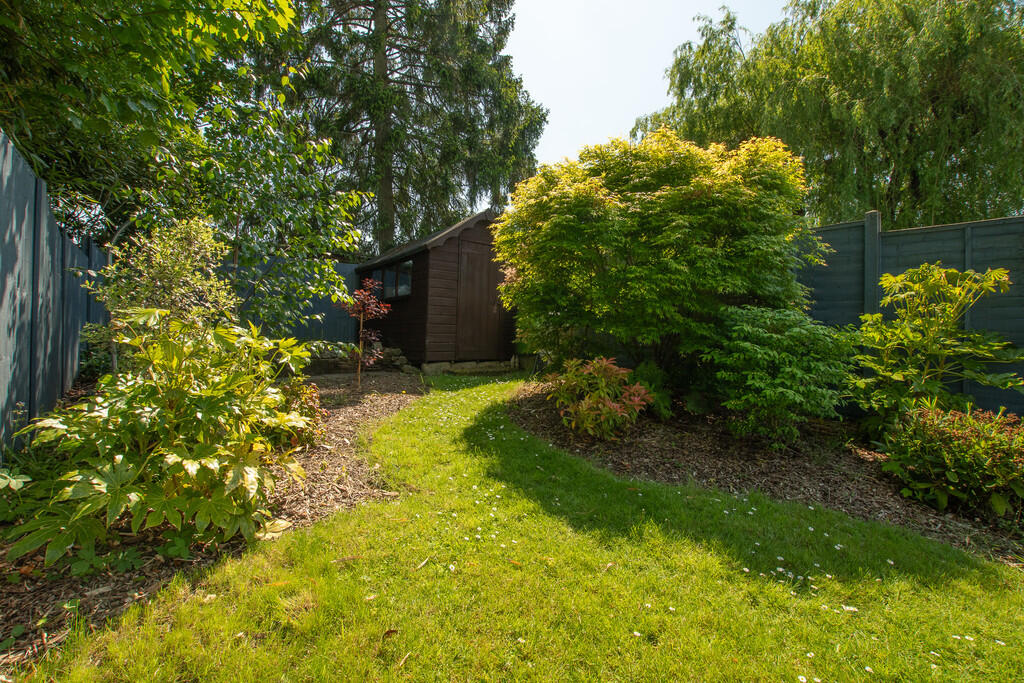 Shed Area